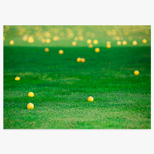 Golf (골프-01)