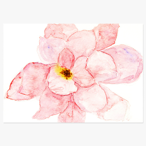 Watercolor Flower (수채화 꽃)