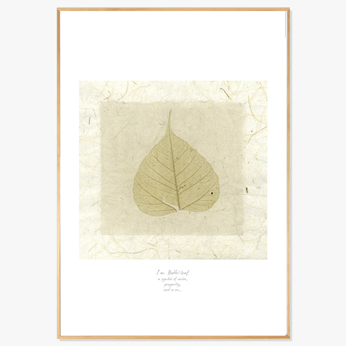 Leaf of Linden Tree (보리수 잎-02)