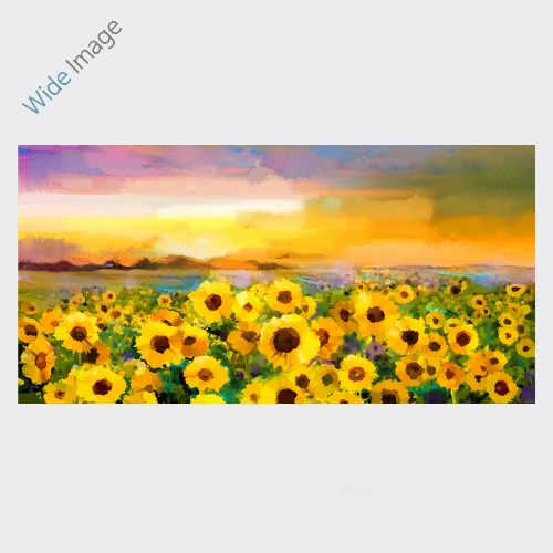 Sunflower, (해바라기들판-01 ) - 와이드